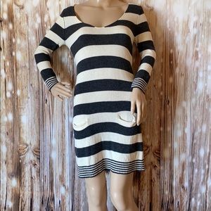Express Sweater Dress